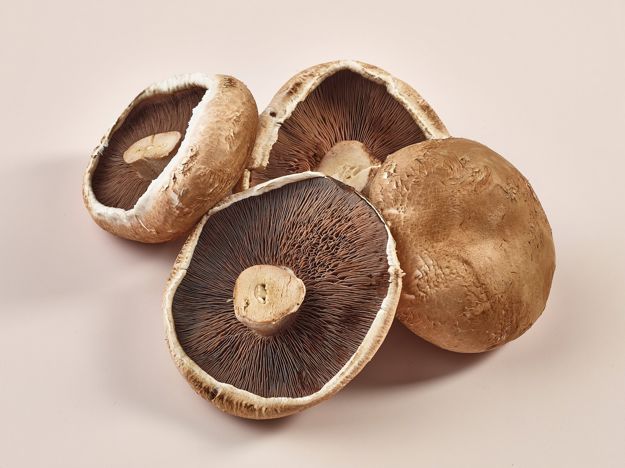 Portobello Mushroom