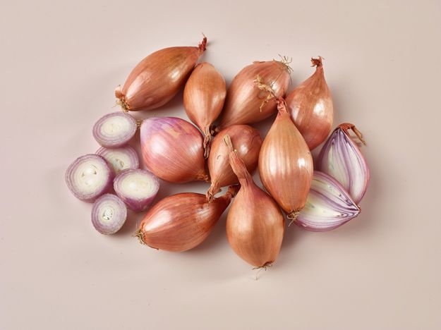 Shallot