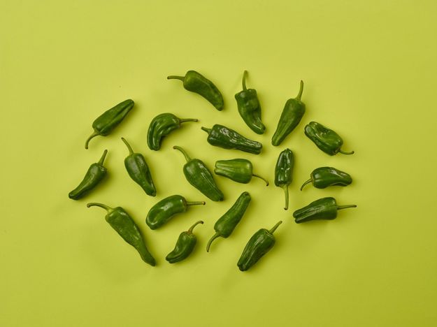 3100831 IOW Padron Peppers