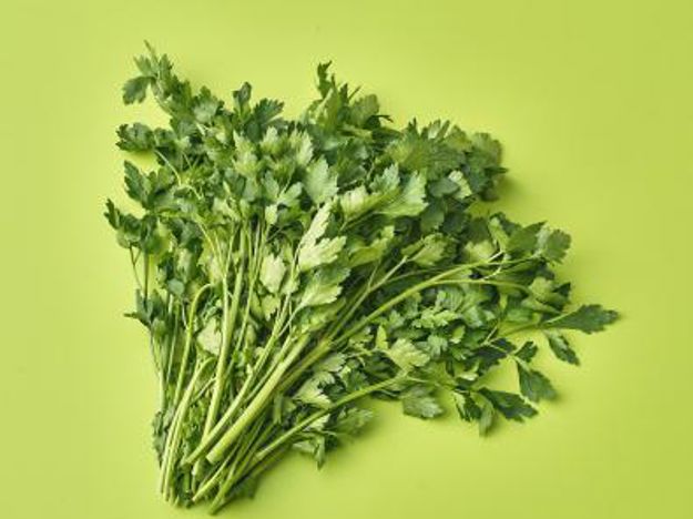 Flat Leaf Parsley