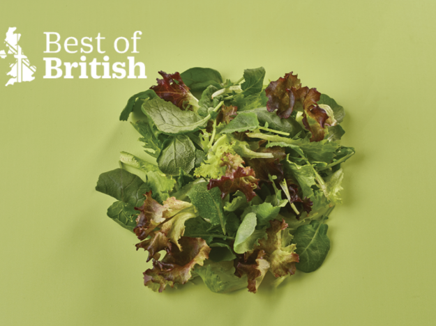 BOB Baby Garlic Kale Mixpng
