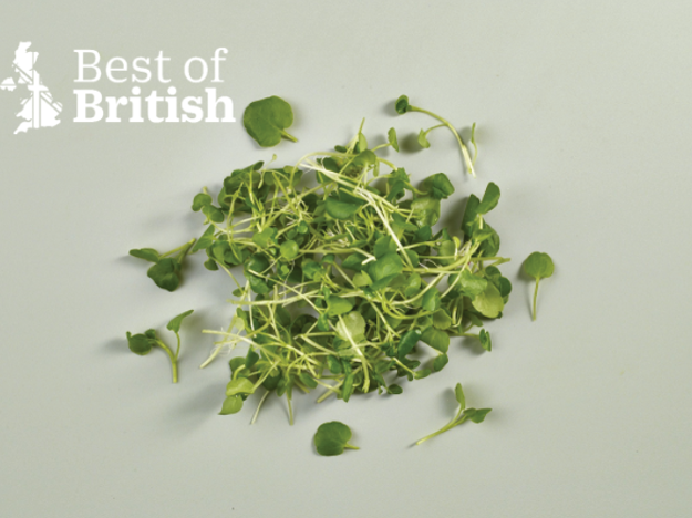 BOB Watercress