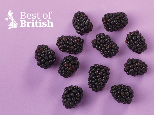 BOB Blackberries